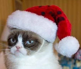 grumpy-cat-christmas.jpg